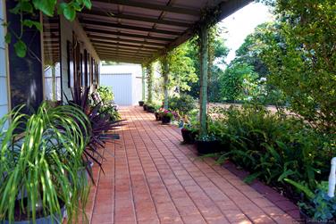 My front garden, Yarloop, Western Australia