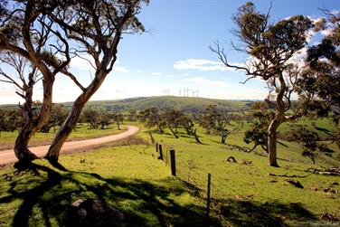 Starfish Hill Wind Farm, Sappers Rd, Cape Jervis, South Australia