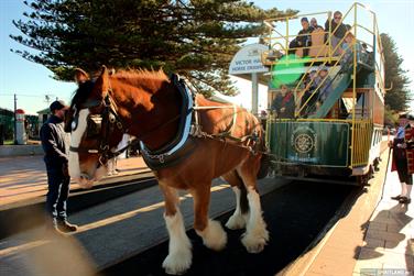 Victor Harbor Horse Drawn Tram, South Australia