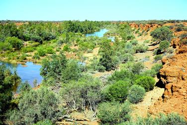 Wooramel River Crossing, Carnarvon-Mullewa Rd, Murchison, Western Australia