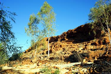 Wooramel River Crossing, Carnarvon-Mullewa Rd, Murchison, Western Australia