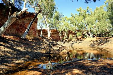 Bilung Pool, Carnarvon-Mullewa Rd, Gascoyne, Western Australia