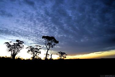 Sunset on the Yarri Rd, north of Kalgoorlie, Western Australia