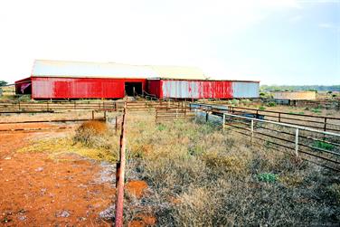 Abandoned shearing shed, Eyre Hwy, Colona Waterhole, South Australia