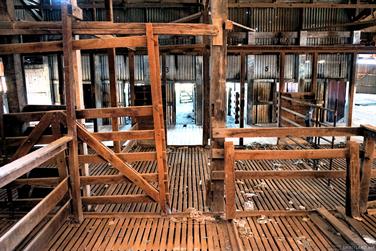 Abandoned shearing shed, Eyre Hwy, Colona Waterhole, South Australia