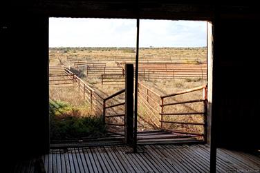 Abandoned shearing shed, Eyre Hwy, Colona Waterhole, South Australia