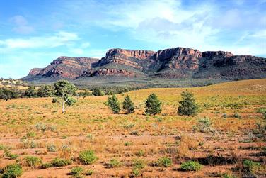 Arkaba area on Flinders Ranges Way, South Australia