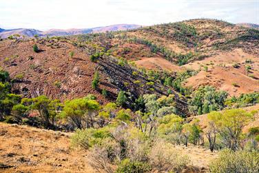Bunyeroo Valley lookout, Bunyeroo Rd, Flinders Ranges, South Australia
