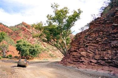 Illina Creek, Brachina Gorge Road, Flinders Ranges, South Australia