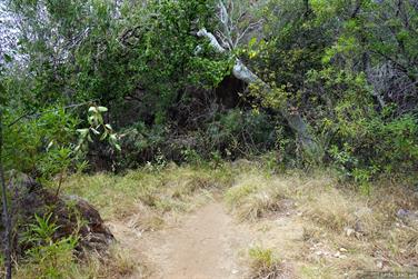 Enterance to Tunnel Creek NP, Fairfield-Leopold Downs Rd, Kimberley, Western Australia