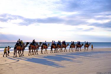 Camel ride at Cable Beach, Broome, Western Australia