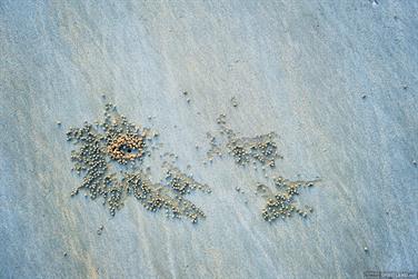 Crab hole on Cable Beach, Broome, Western Australia