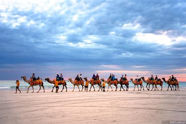 Camel ride at Cable Beach, Broome, Western Australia
