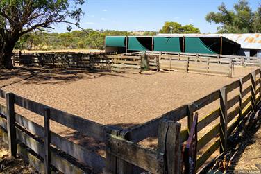 Shearing Shed, Coalfields Rd, Arthur River, Western Australia