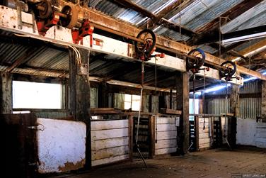 Shearing Shed, Coalfields Rd, Arthur River, Western Australia