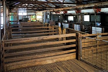 Shearing Shed, Coalfields Rd, Arthur River, Western Australia