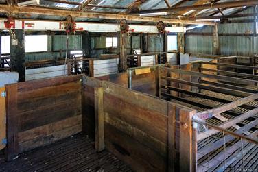 Shearing Shed, Coalfields Rd, Arthur River, Western Australia