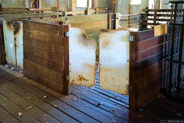 Shearing Shed, Coalfields Rd, Arthur River, Western Australia
