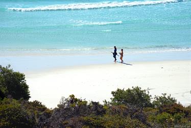 Wharton Bay, south coast, Western Australia