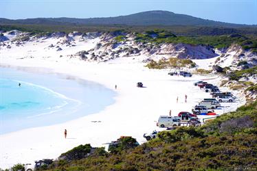 Wharton Bay, south coast, Western Australia