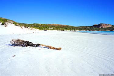 Wharton Bay, south coast, Western Australia